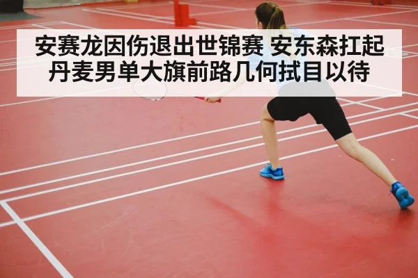 安赛龙因伤退出世锦赛 安东森扛起丹麦男单大旗前路几何拭目以待